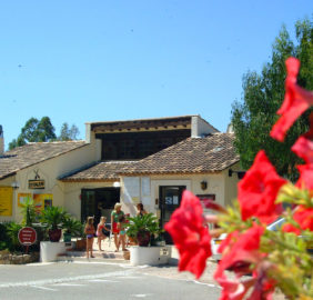 L’entrée du camping